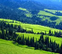 取消会议通知怎么写 取消会议通知怎么写