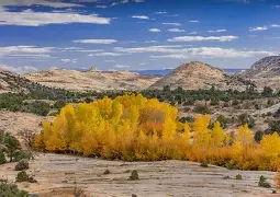 爱游戏登入-集结日社区盾焦点战；犹他爵士迎来里程碑；更衣室稳定；阵容厚度经受考验(浅井舞香在逃狱者中的粉丝反响)